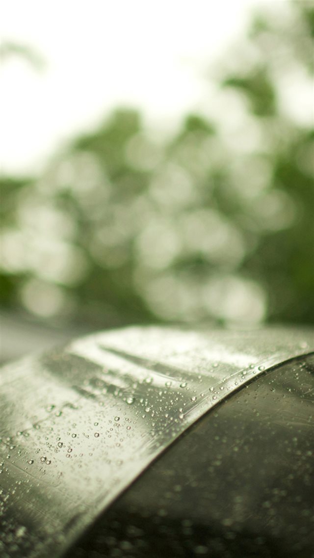 Abstract Rainy Dew Transparent Umbrella Bokeh iPhone 8 wallpaper 
