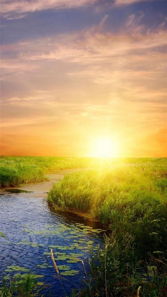 Nature Sunrise Bright Lake Field Landscape iPhone 8 wallpaper 