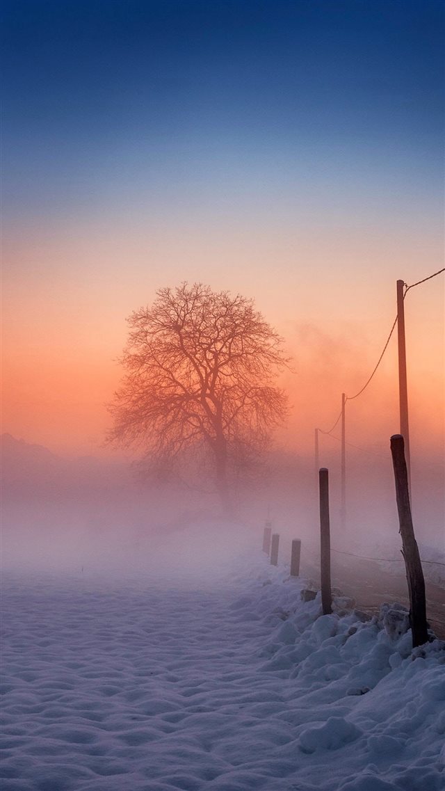 Winter Scene Fog Glow iPhone 8 wallpaper 
