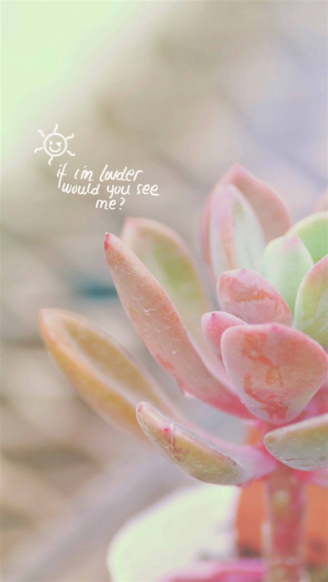 Pure Elegant Pink Fleshy Plant Bokeh iPhone 8 wallpaper 