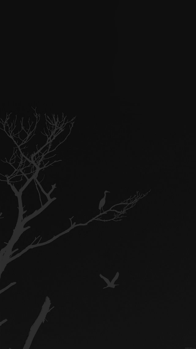 Bird Sunset Tree Dark Nature Minimal iPhone 8 wallpaper 