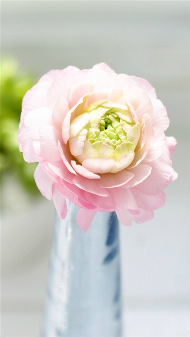 Beautiful Elegant Flower Vase Macro iPhone 8 wallpaper 