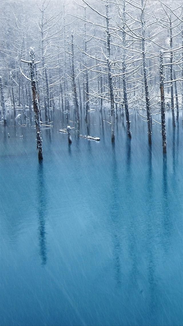 Pure Winter Wither Tree Grove Frozen Lake Landscape iPhone 8 wallpaper 