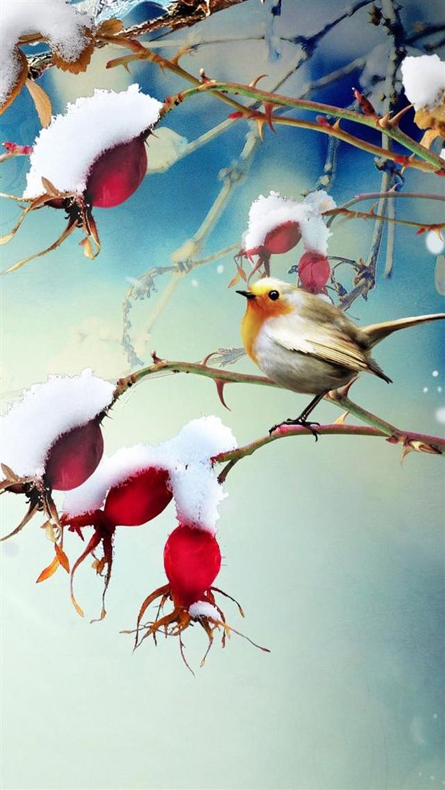 Winter Snowy Cotton Branch Bird Scene iPhone 8 wallpaper 