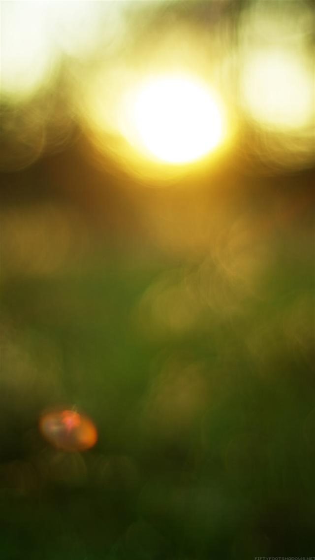 Nature Sunset Bokeh Blur Background iPhone 8 Wallpapers Free Download