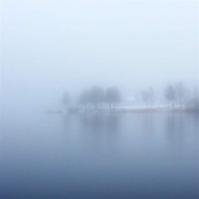 Nature Blur Foggy Wood Land Around Lake iPad wallpaper 