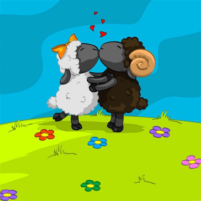 Sheep Fall In Love iPad wallpaper 