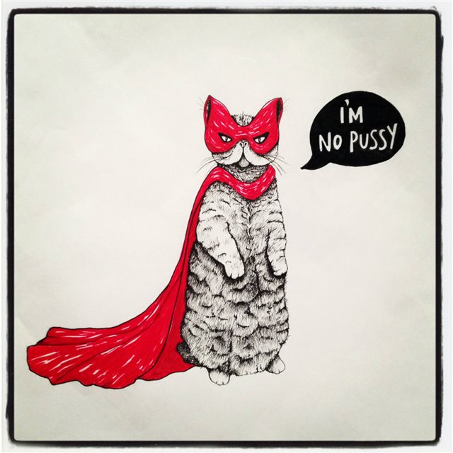 Super Cat  Red Cape Illustration iPad wallpaper 