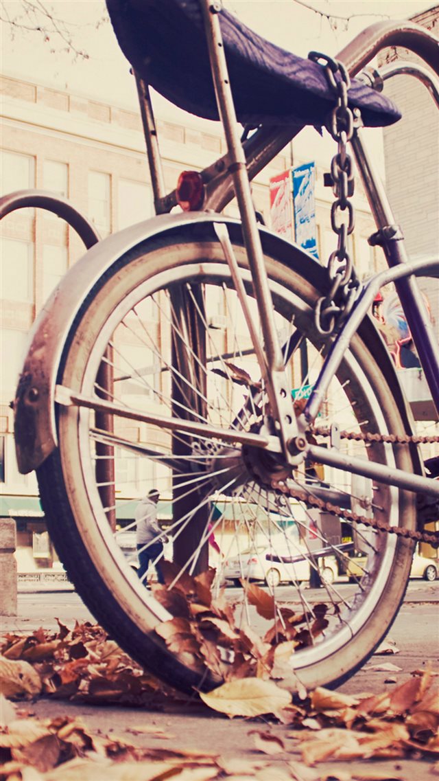 Vintage Hipster Bike Chained iPhone 8 wallpaper 