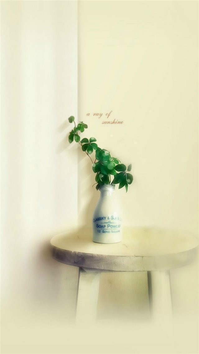 Nature Minimal Elegant Room Table Plant Vase iPhone 8 wallpaper 