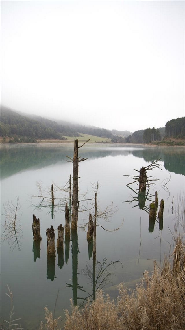 Calm Lake  Wooden Pile Knocked Water Landscape iPhone 8 wallpaper 