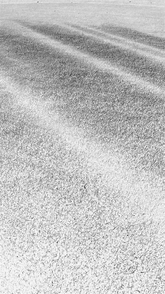 Lawn Grass Sunlight Green White Pattern iPhone 8 wallpaper 