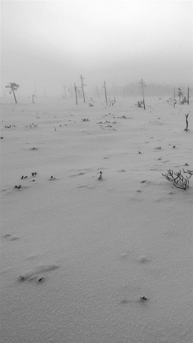 Snow Walk Winter White Footprints Nature Mountain iPhone 8 wallpaper 