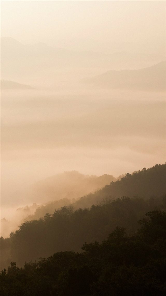 Mountain Fog Yellow Nature iPhone 8 wallpaper 