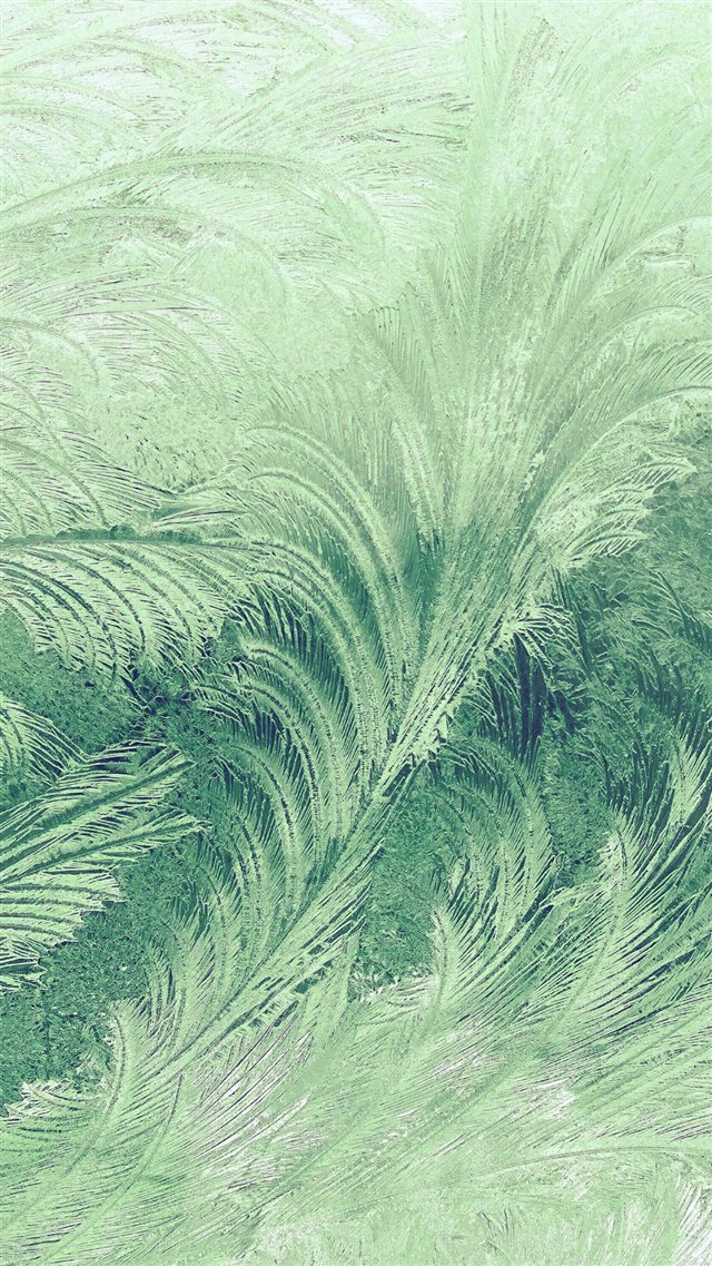 Winter Snow Window Cold Pattern Green iPhone 8 wallpaper 