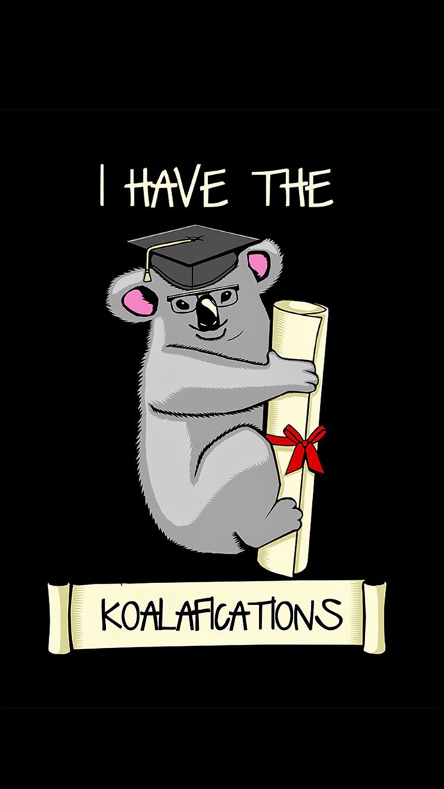 I Have The Koalafications iPhone 8 Wallpapers Free Download