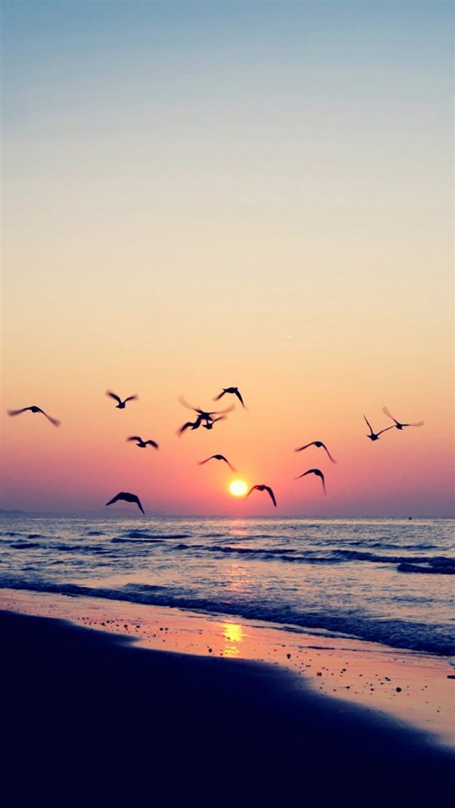 Twilight Coast Beach Ocean Wave Seagull Sunset iPhone 8 wallpaper 
