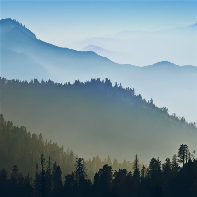 Foggy Mountains Forest Landscape iPad wallpaper 