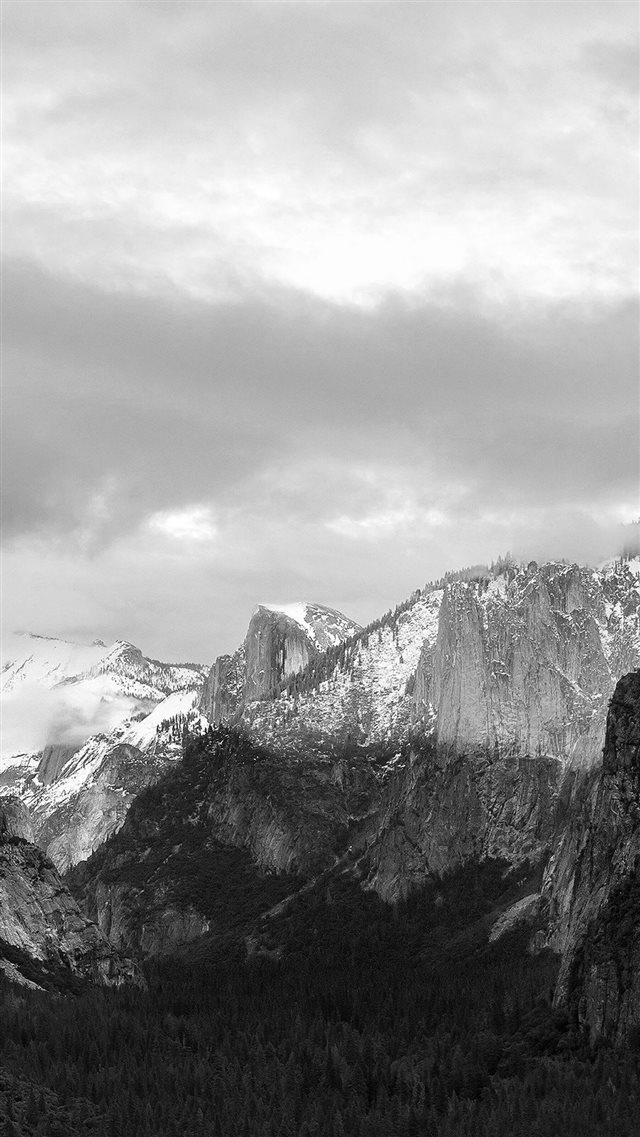 Dark Grayscale Mountains Forest Landscape iPhone 8 wallpaper 
