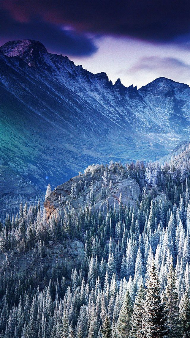 Winter Mountain Blue Woods Tree Nature Cold iPhone 8 wallpaper 
