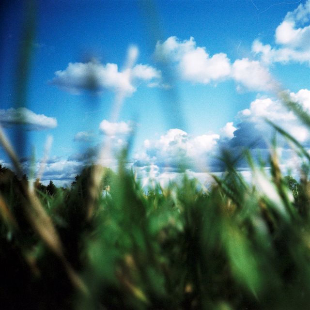 Summer Riverbank Grass Leafy Field Cloudy Skyscape iPad wallpaper 