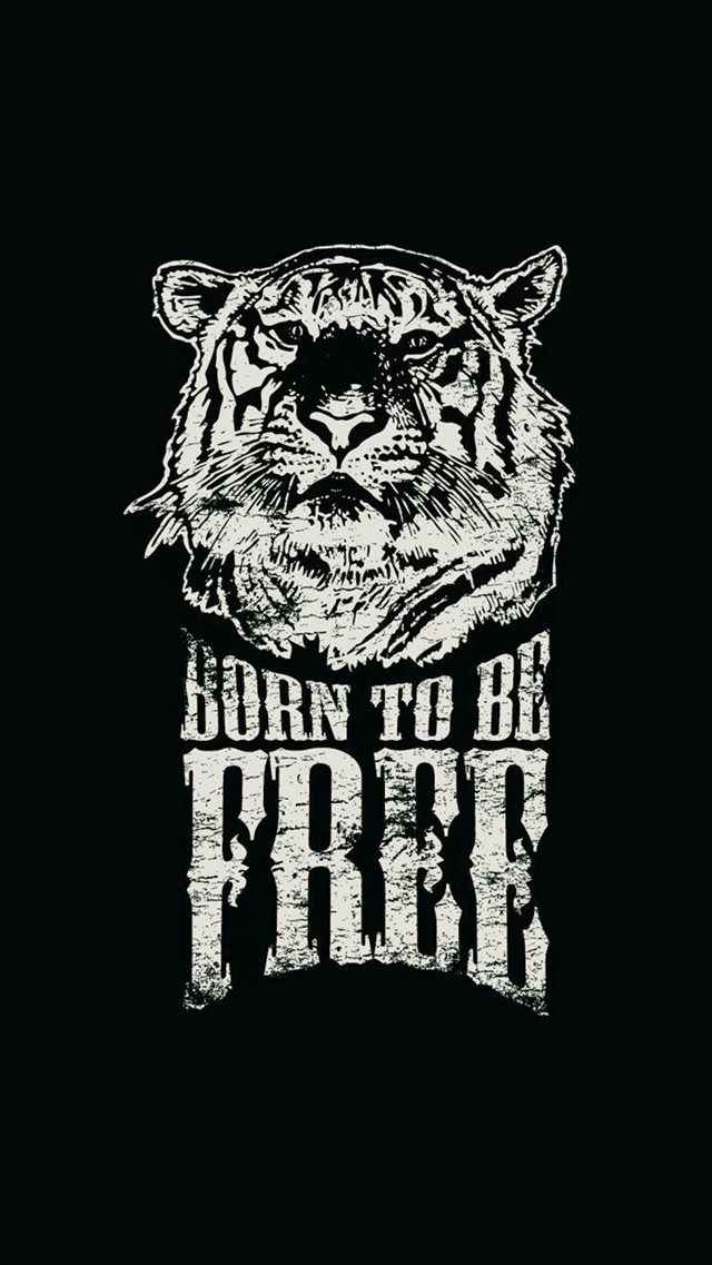 Born To Be Free Tiger Illustration iPhone 8 wallpaper 
