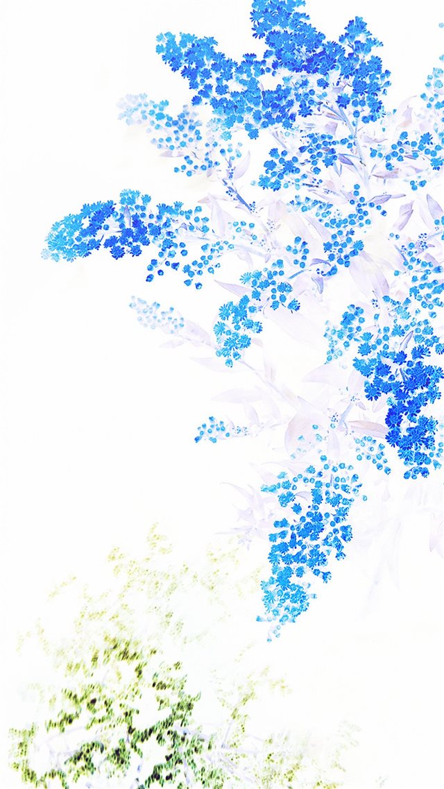 Apple Blue White Flower Ios9 iPhone 8 wallpaper 