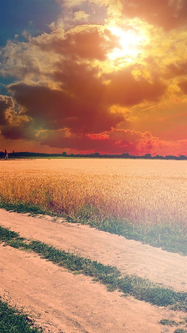 Hot Sunny Day Instagram Look Nature Farm iPhone 8 wallpaper 