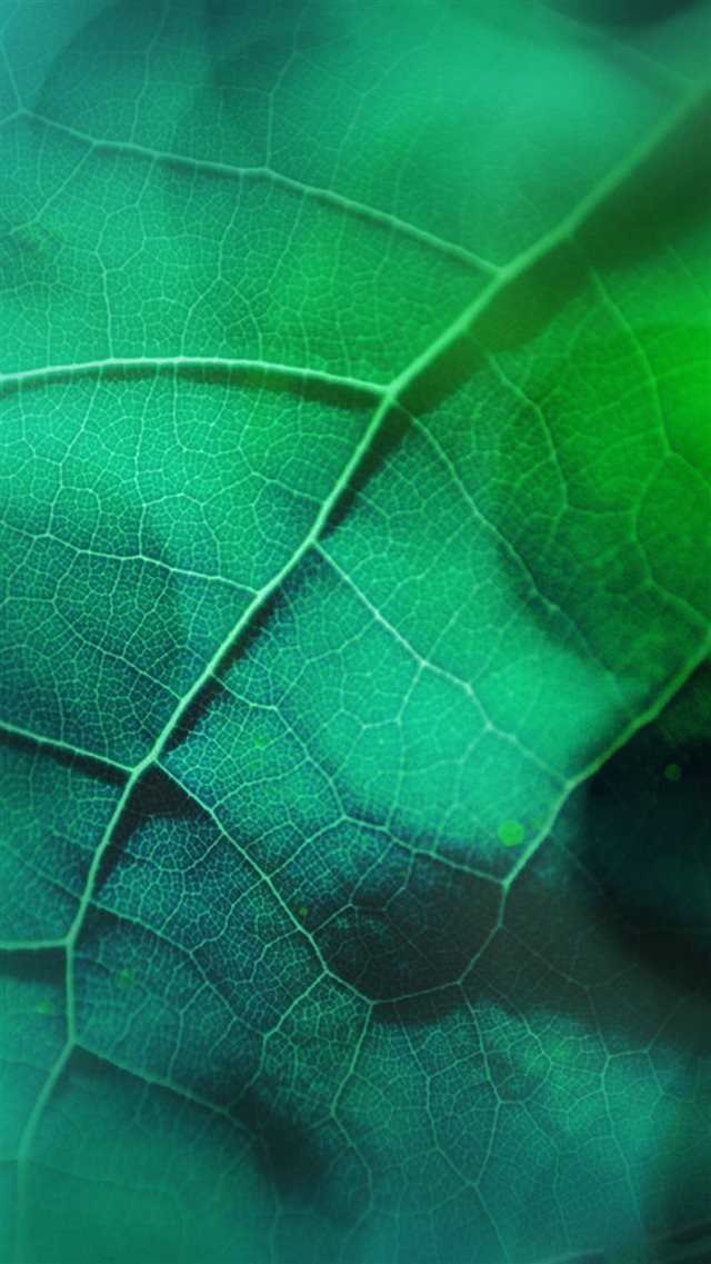 Leaf Flare Nature Green Wood Love Pattern iPhone 8 wallpaper 