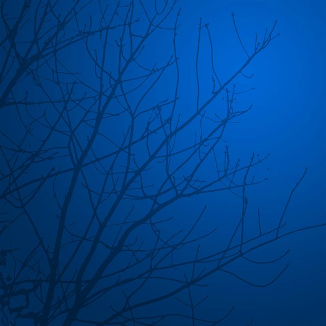 Blue Night Sky Branch Silhouette iPad wallpaper 