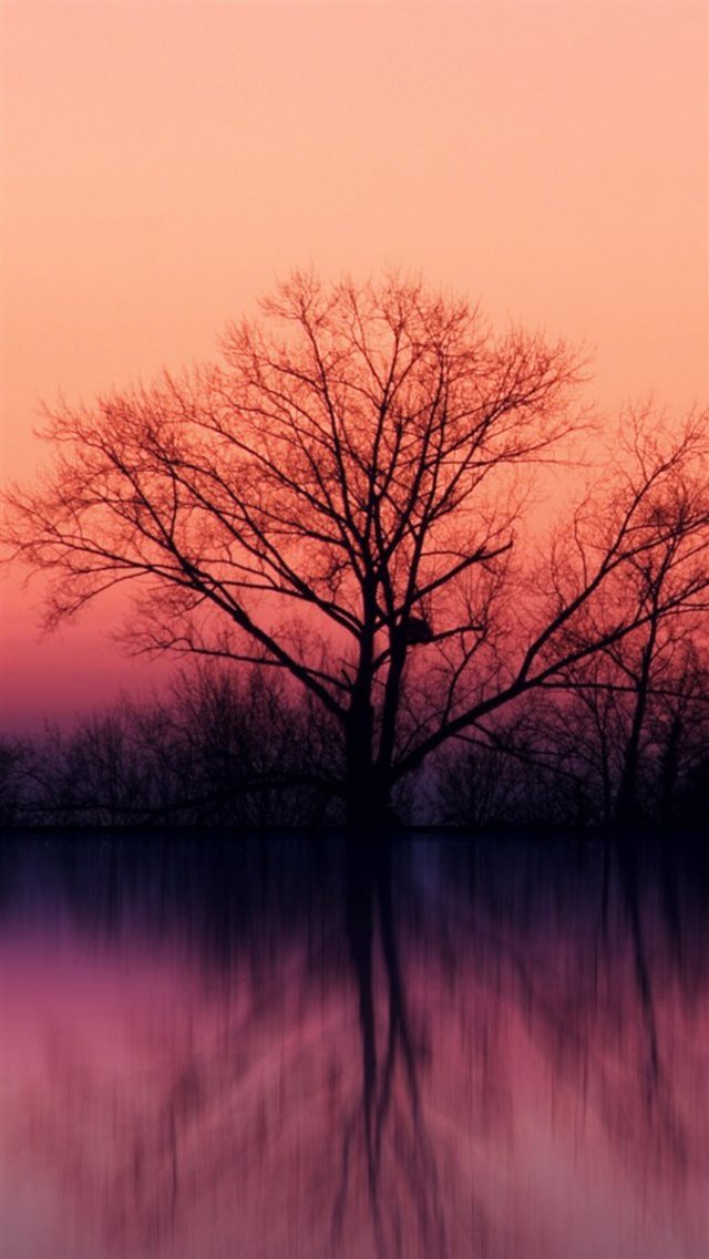 Stillness Calm Lake Sunset Landscape iPhone 8 wallpaper 