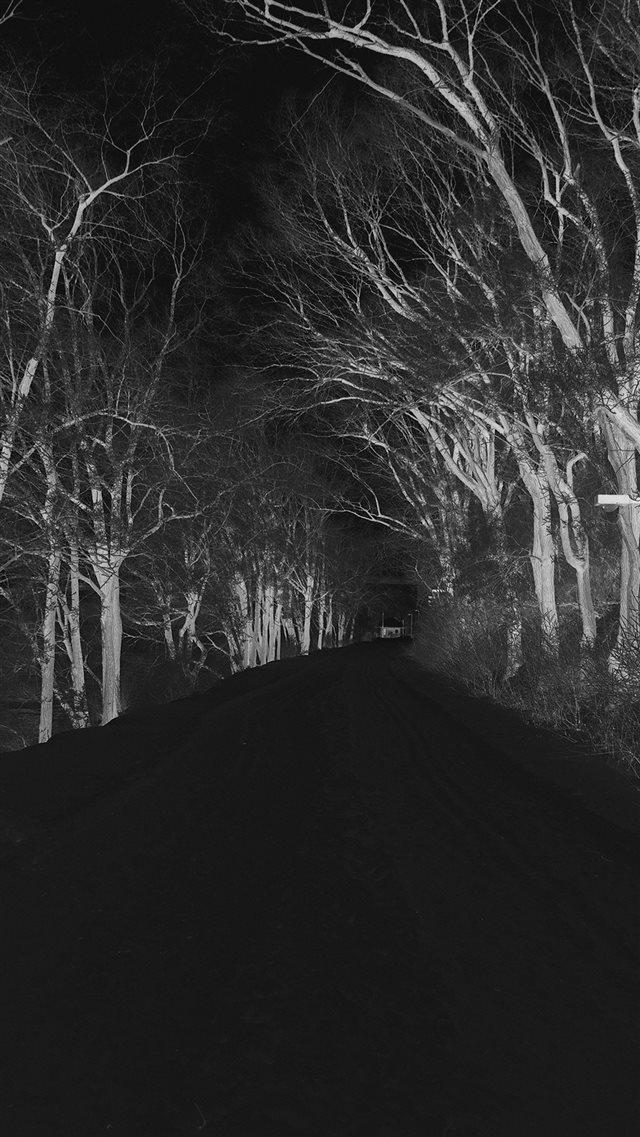 Winter Scary Road Nature Mountain Dark iPhone 8 wallpaper 