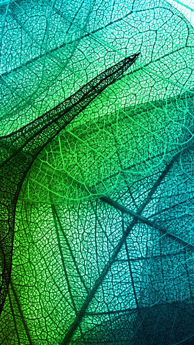 Leaves Art Green Blue Pattern iPhone 8 wallpaper 
