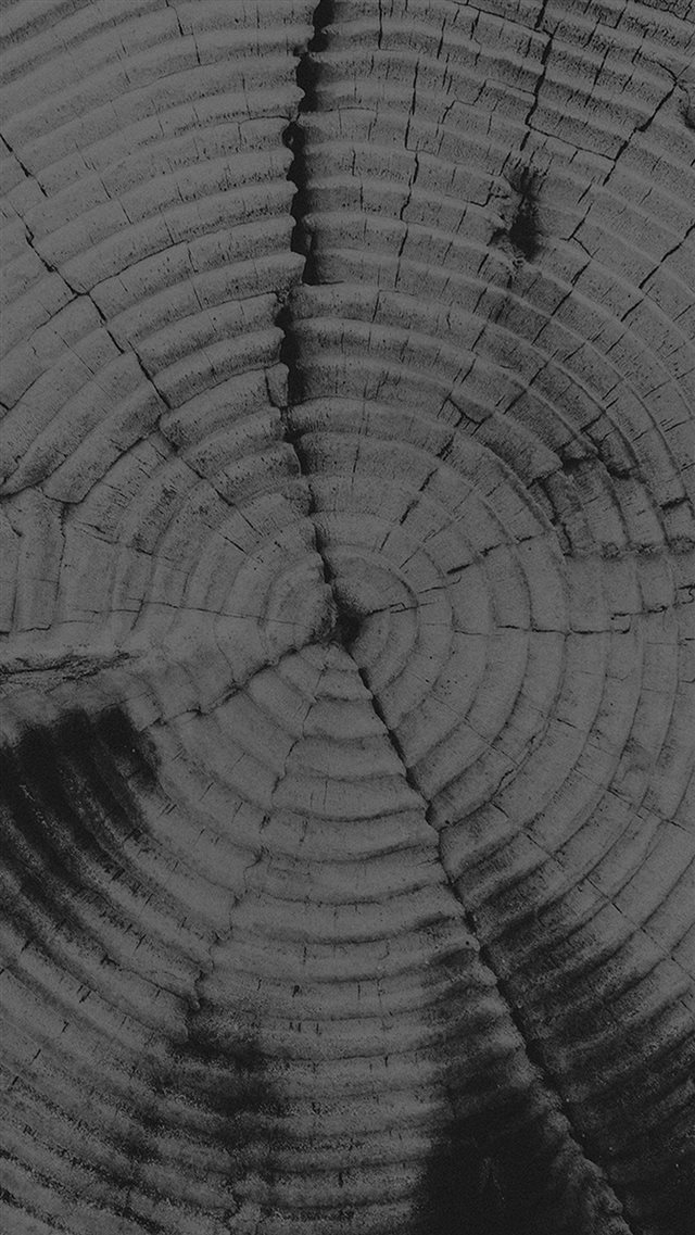 Old Tree Texture Pattern Dark iPhone 8 wallpaper 