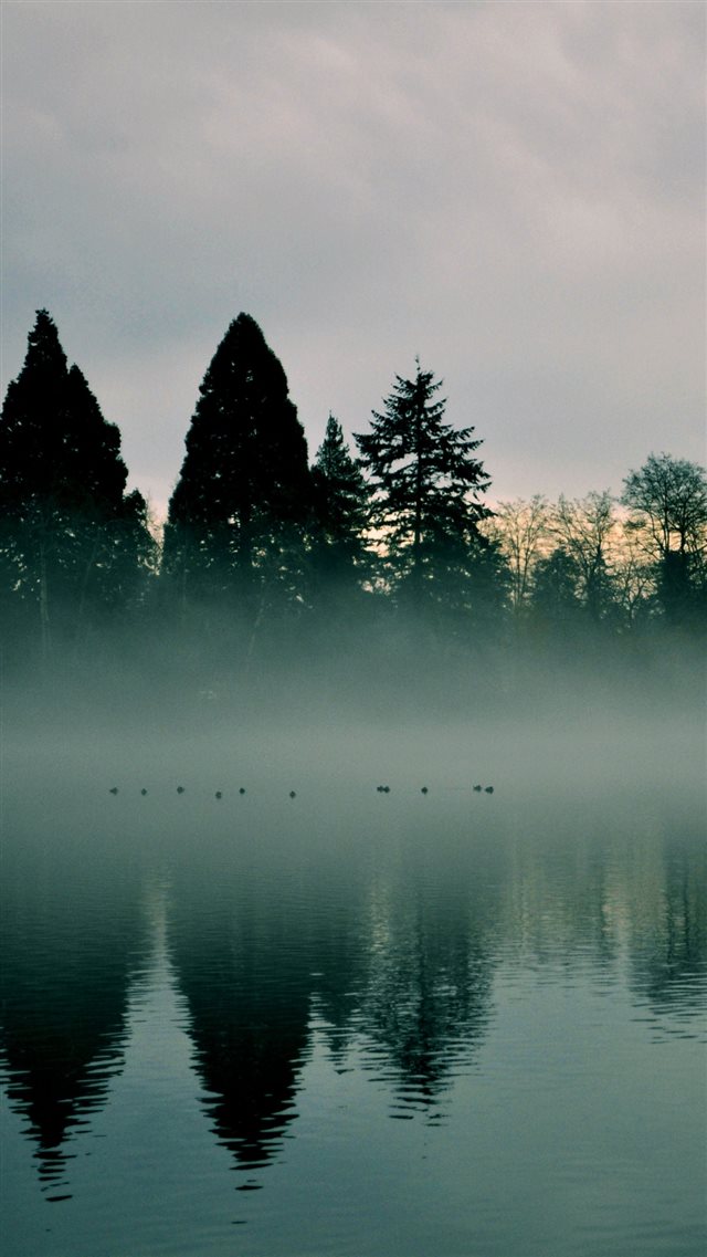 River Trees Fog Reflection iPhone 8 wallpaper 