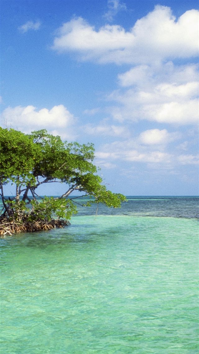 Trees Island Sailing Vessel Bank Azure Horizon iPhone 8 wallpaper 