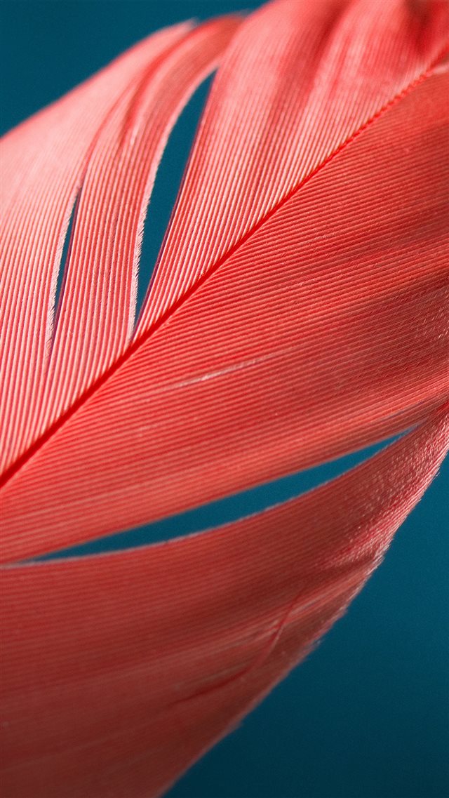 Moto X Style Bird Feather Pattern iPhone 8 wallpaper 