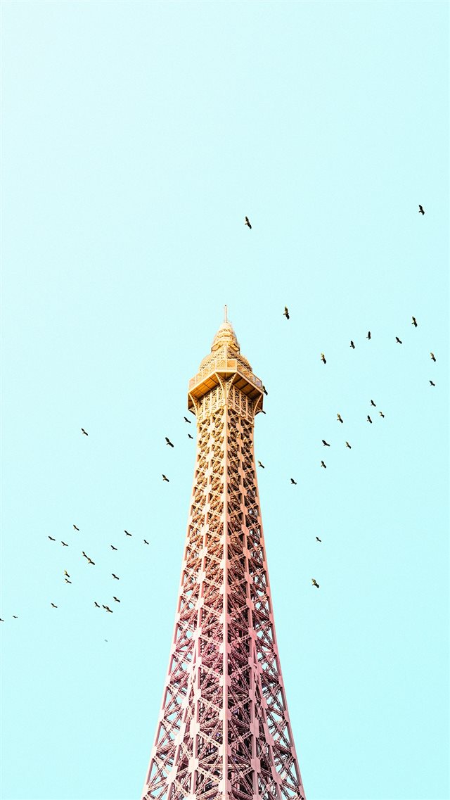 Paris Eiffel Tower Birds Colorful iPhone 8 wallpaper 