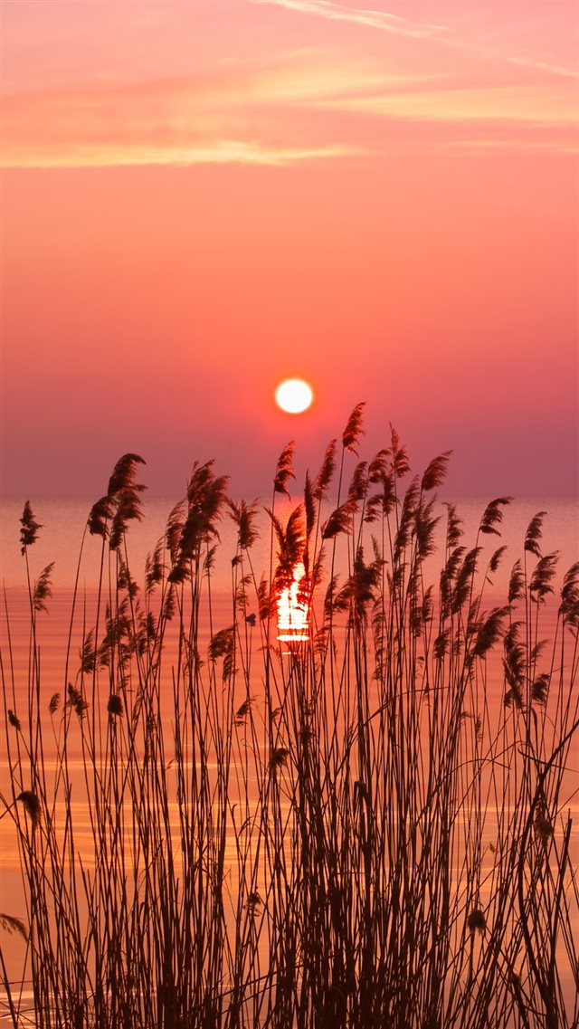 Very Holding Sunset  iPhone 8 wallpaper 