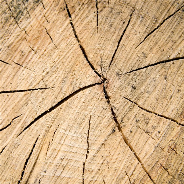 Chopped Wood Texture Macro iPad wallpaper 