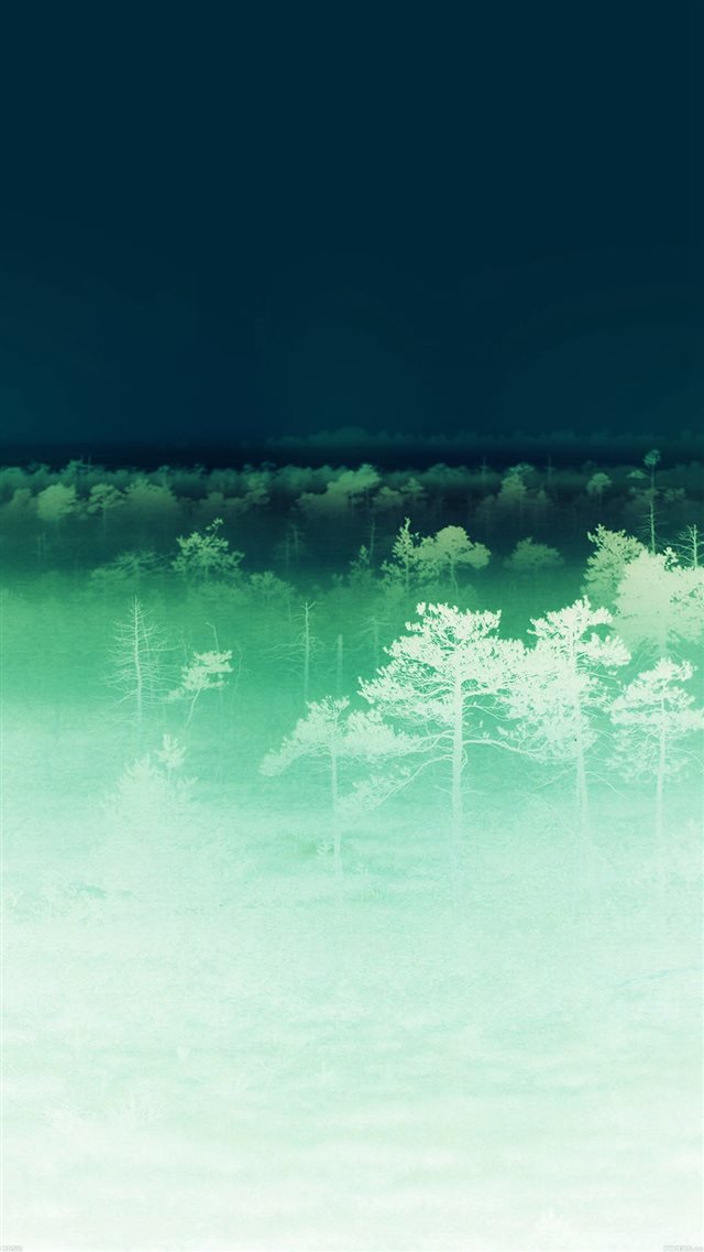 Sunset Wood Nature Ghost iPhone 8 wallpaper 