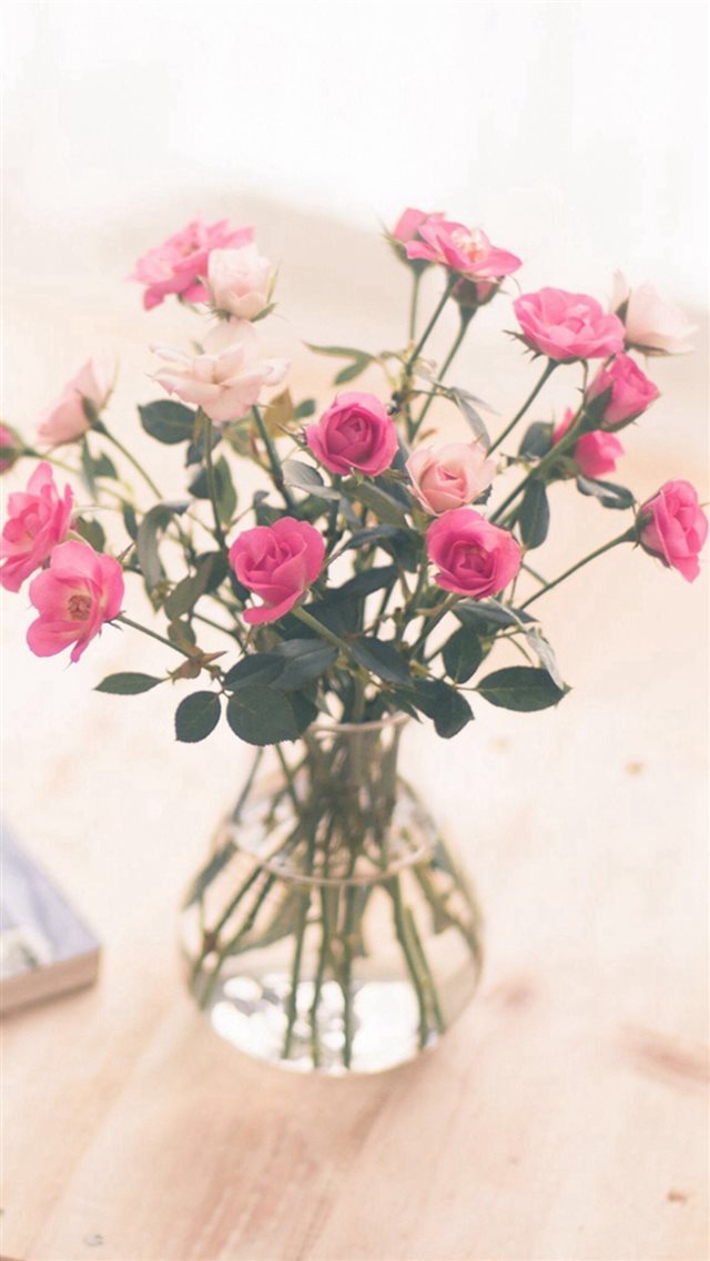 Nature Beautiful Flower Bouquet Vase iPhone 8 wallpaper 