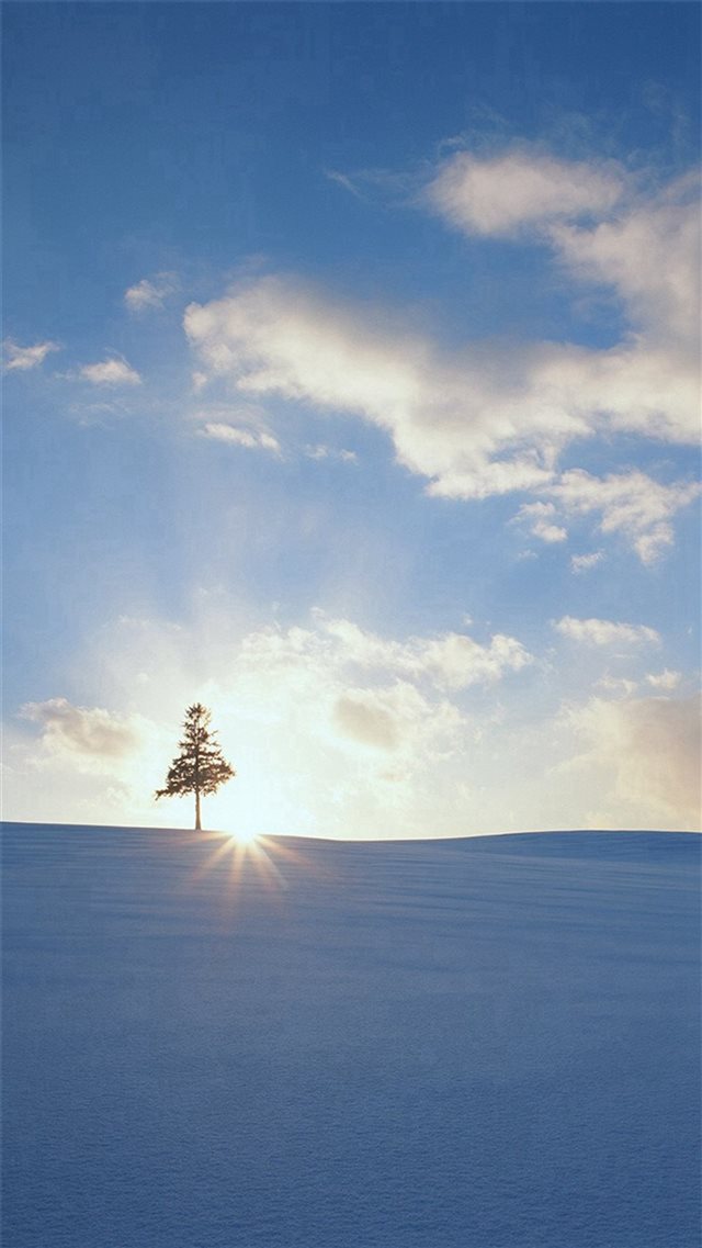 Nature Sunny Snowy Field View iPhone 8 wallpaper 