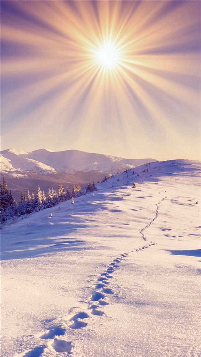 Nature Sunshine Bright Snowy Footprint Field iPhone 8 wallpaper 