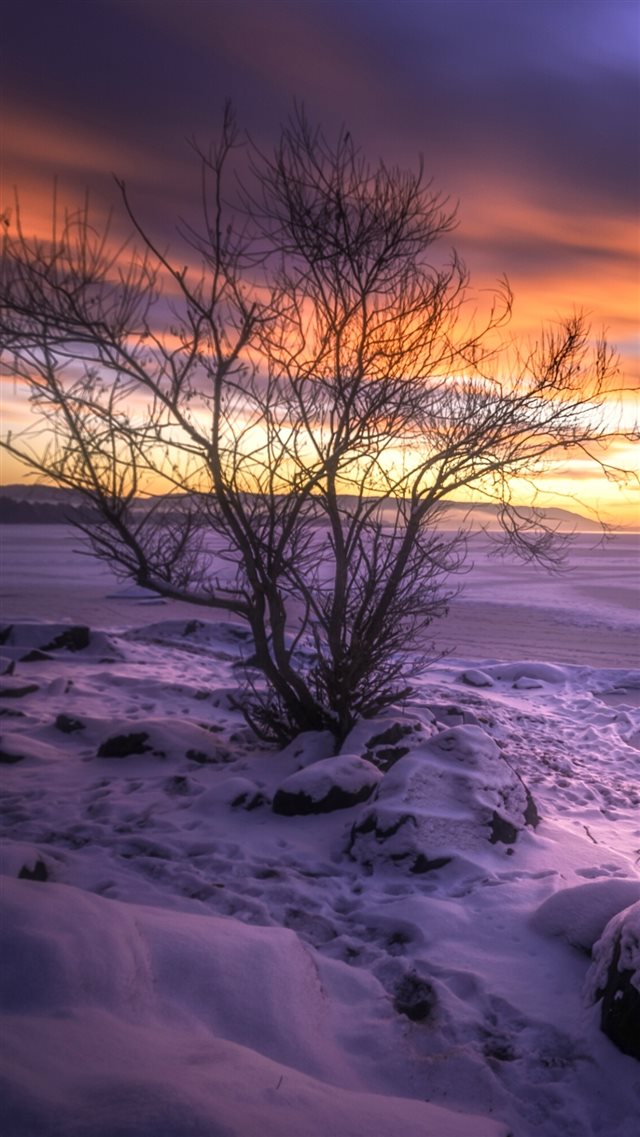 Buskerud Norway Lake Winter Snow iPhone 8 wallpaper 