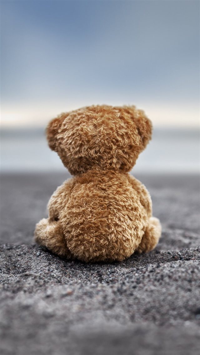 Bear Doll Back Lonely Ground iPhone 8 wallpaper 