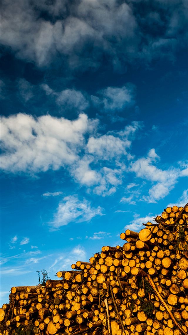Blue Skyscape And Woods Stack iPhone 8 wallpaper 