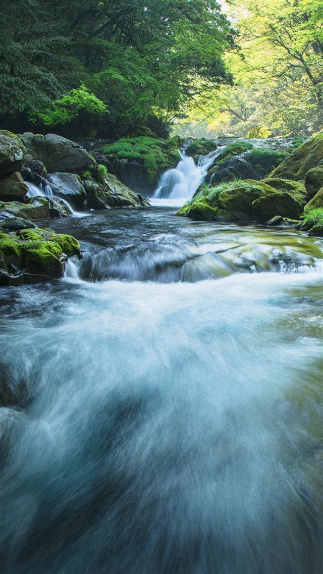 Trees and mountain creek iPhone 8 wallpaper 