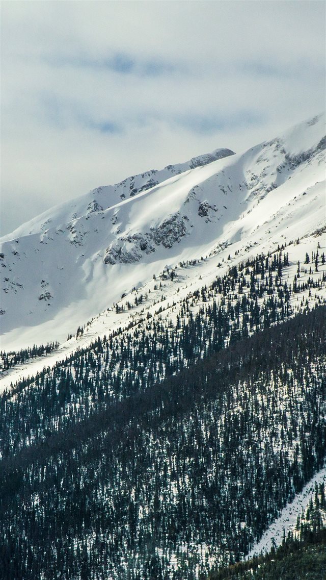 Snow Landscape Mountain Winter Wonderful iPhone 8 wallpaper 
