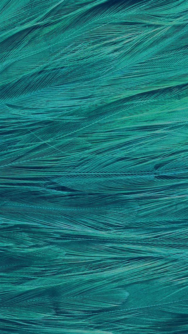 Feather Blue Bird Pattern iPhone 8 wallpaper 